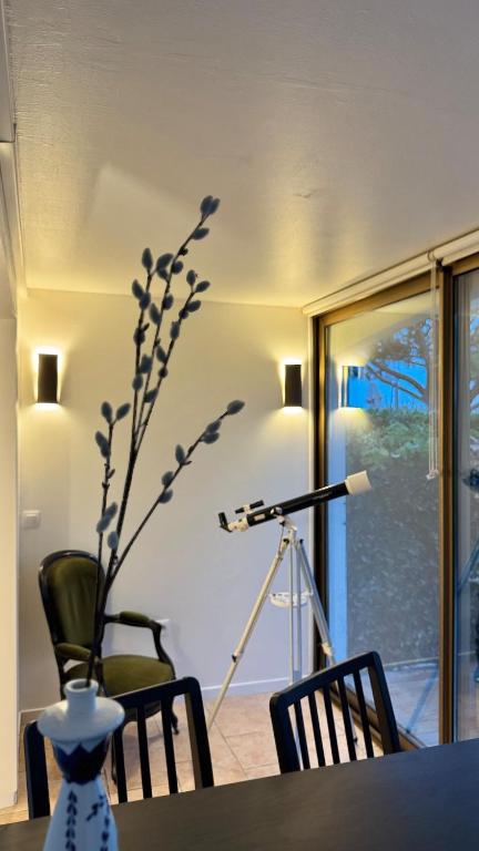 Azur Pied-à-Terre Cannes Mandelieu - 3