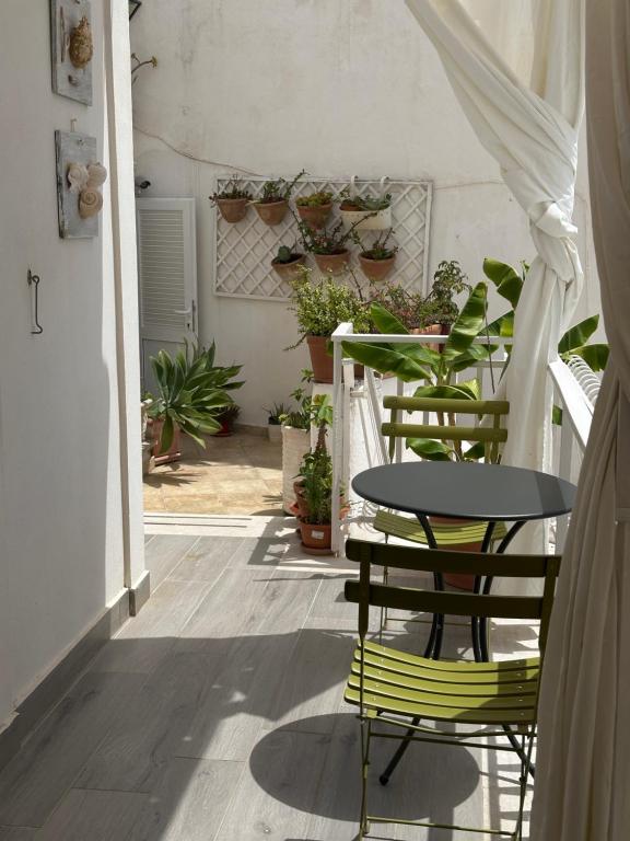 B&B Ponza Suite - 3
