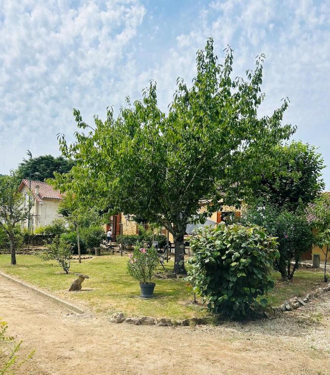 Les 3 Tilleuls - Charme & jardin au cœur de Sarlat - 2