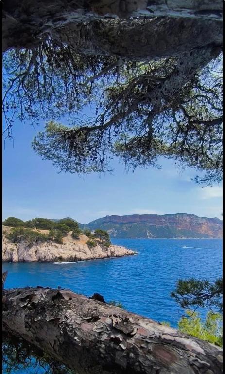 Cassis et ses merveilleuses Calanques - 3