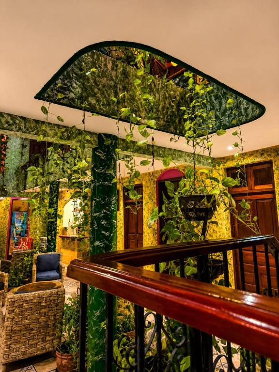 Kaa Zihil Hotel - 5