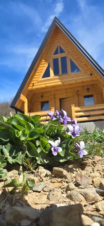 BB CHALET - 2