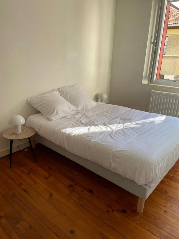 Charmante maison hypercentre de Thonon-les-Bains - 3