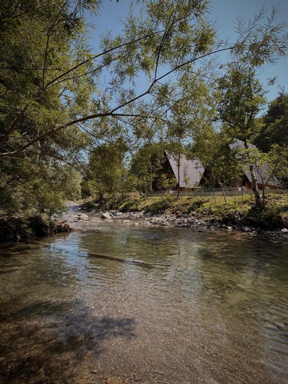 Riverwood Luxury Cabins - 4