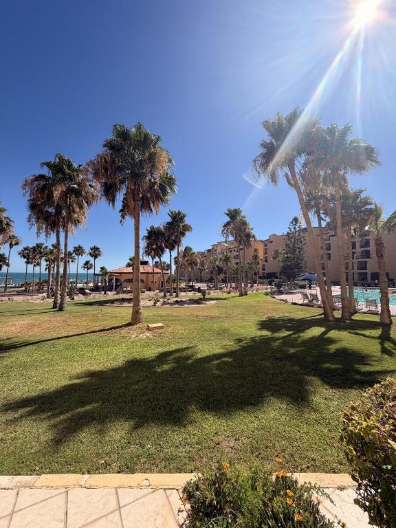 Princesa Resort D-105 - A Ground Floor Ocean View Condo - 3