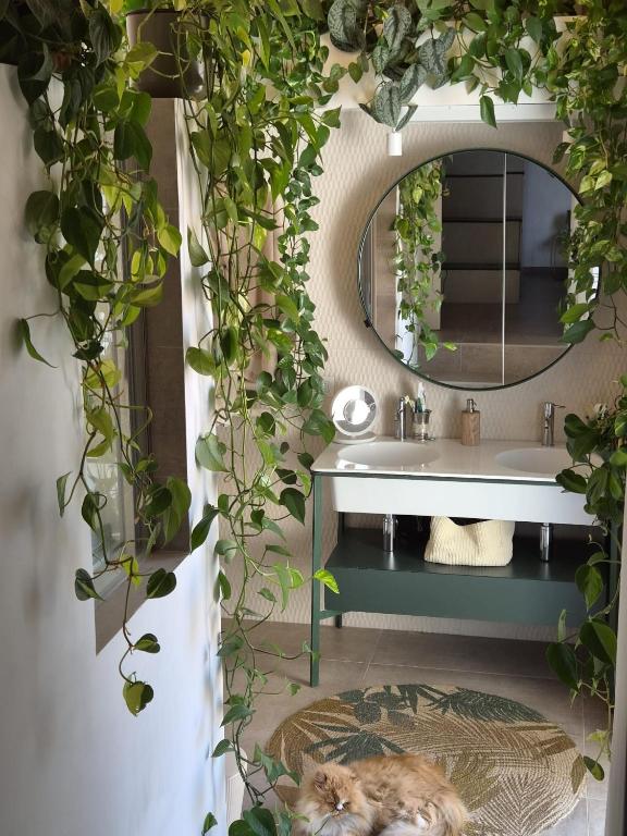 PapalePapale B&B - 4