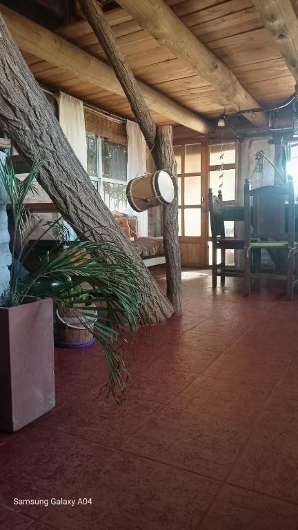 La Agraria - 5