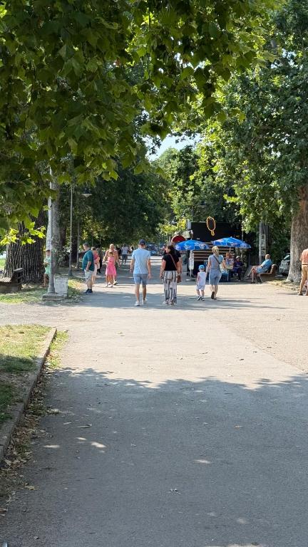 ARIA STAY - Belgrade - Old Zemun - Danube - 4