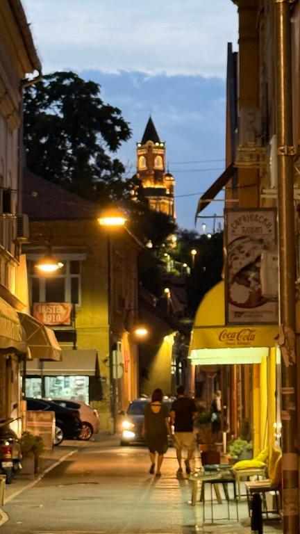 ARIA STAY - Belgrade - Old Zemun - Danube - 3