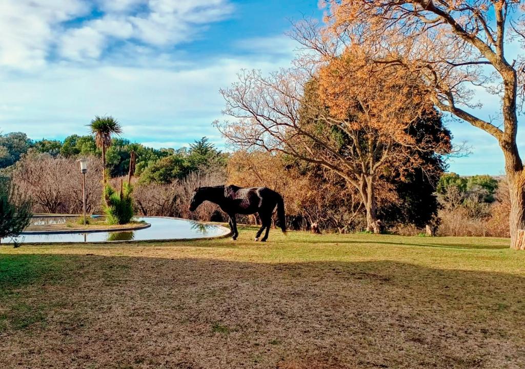 Aruma Estancia Serrana - 4