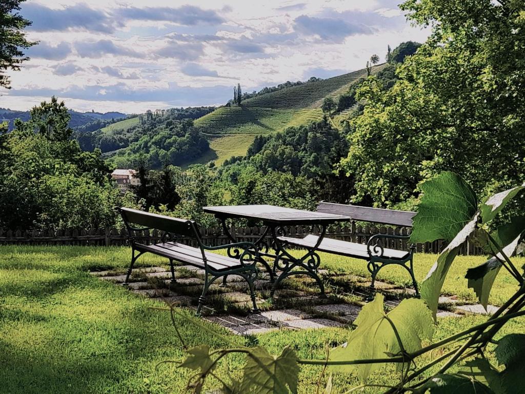 "Das Steirerhaus am Seggauberg" - Familien Ferienhaus mit zwei separaten Apartments - 2