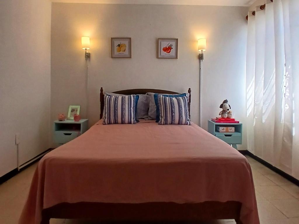 Big comfy apartment oaxaca city early check in - 1