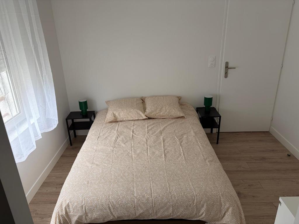 Appartement T2 - 101 - Hyper Centre - Intégralement rénové - Toutes commodités à pied - 3