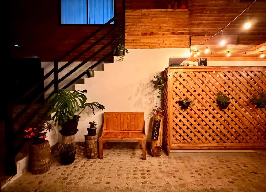 Carol Haus - 2