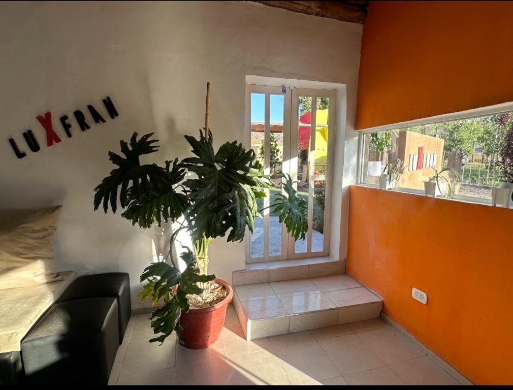Hostel Luxfran - 3