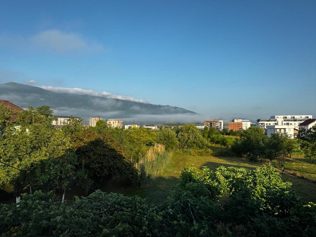 Apartman UMA - 4