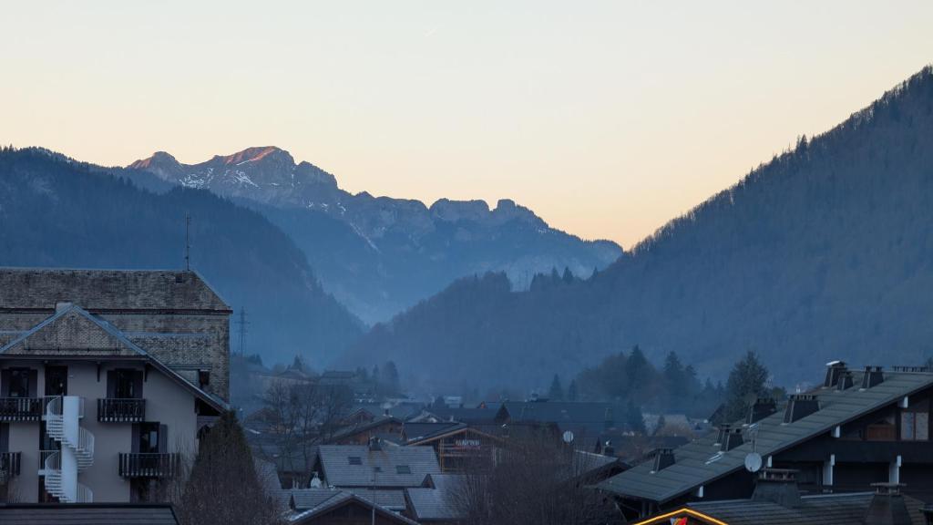 Edelweiss Lodge - 2