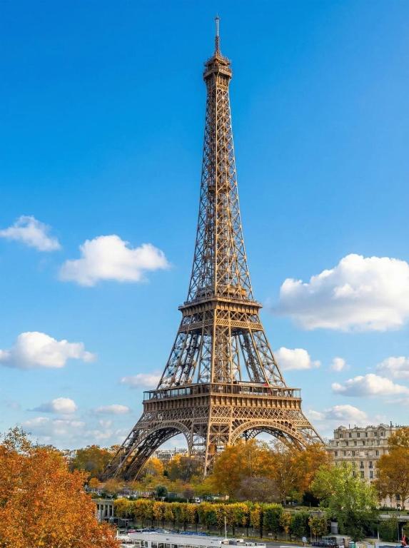 Rare Eiffel Tower view - 4