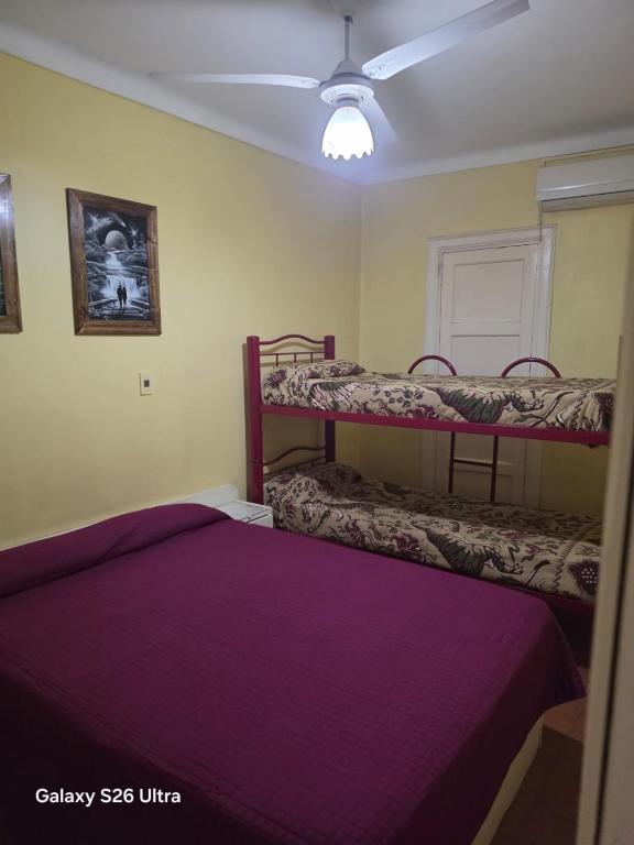 Hotel Roy's - 3