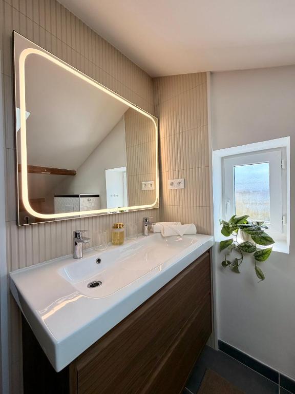 Duplex T2 cosy sur deux niveaux, quartier calme de Nantes Nord - 5