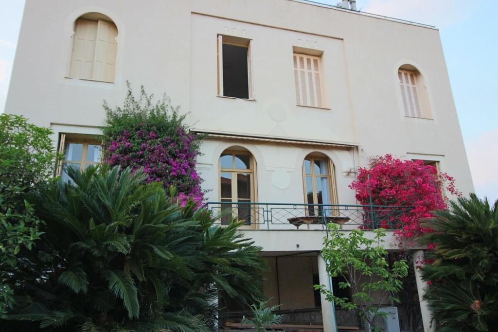 Large apartment with terrace in a villa - 5