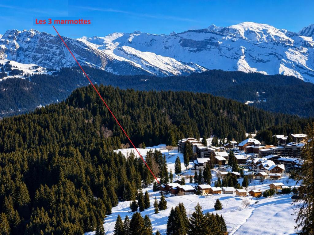 Les 3 Marmottes - Praz de Lys - 2