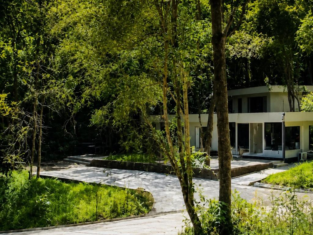 Eco Lodge de la Selva - 5
