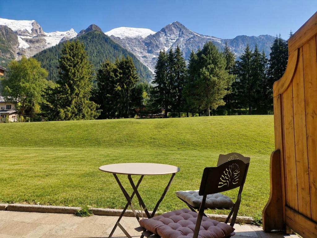 Beautiful Apartment with views of Mont Blanc - 2