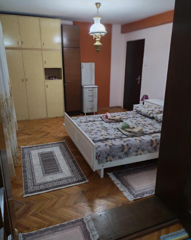 Apartmani Aleksići-AS Sokobanja U CENTRU - 3