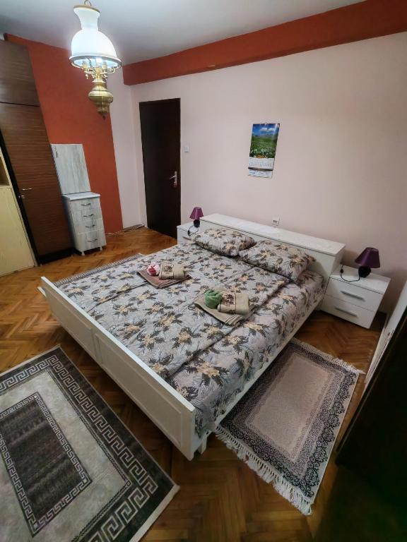 Apartmani Aleksići-AS Sokobanja U CENTRU - 4