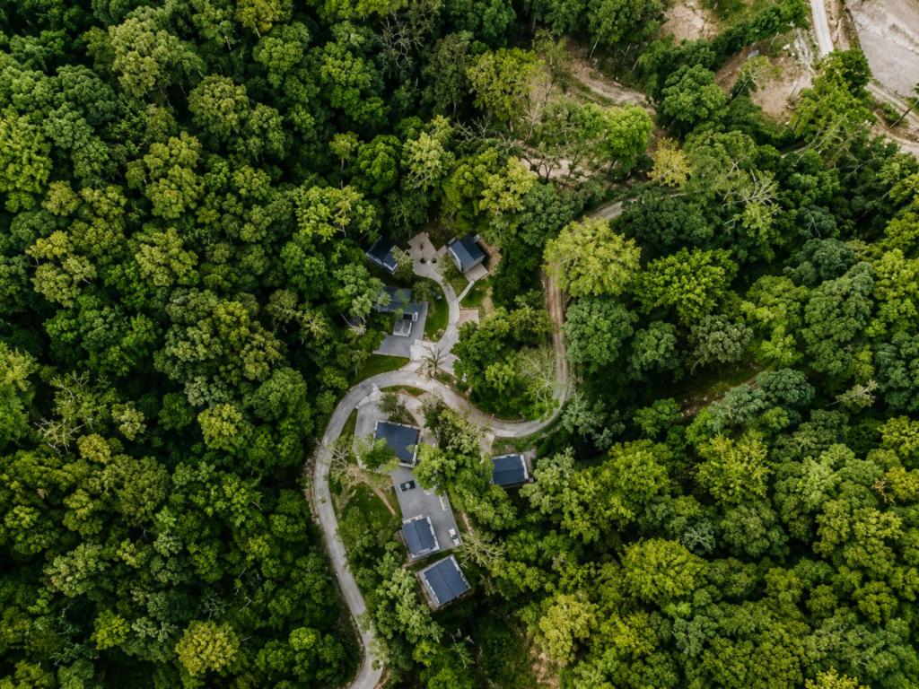 Eco Lodge de la Selva - 1