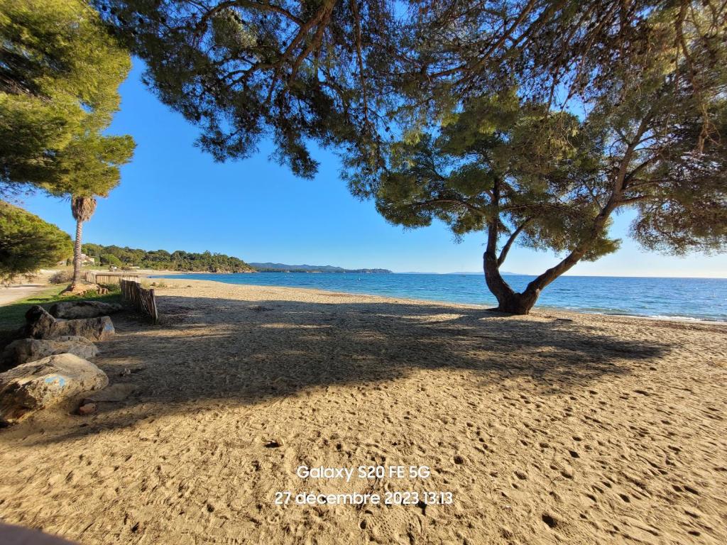 T3 70m2 rénové rdc, 50m plage,climatisé avec grd terrasse l'Argentiére - 1