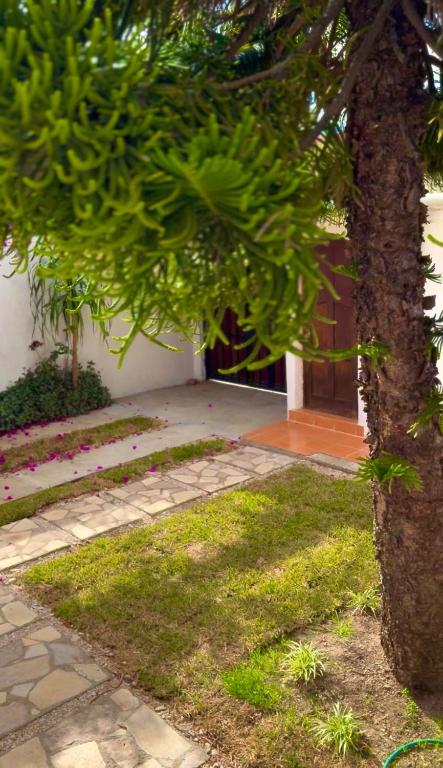 Araucarias Na Your home away from home - 5