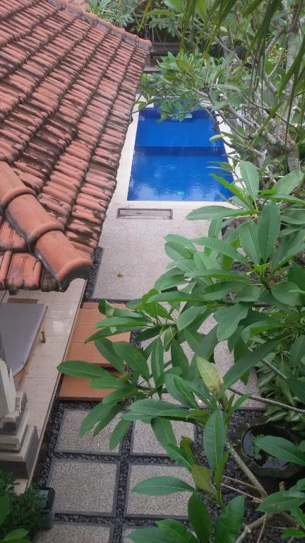 Surrounding environment