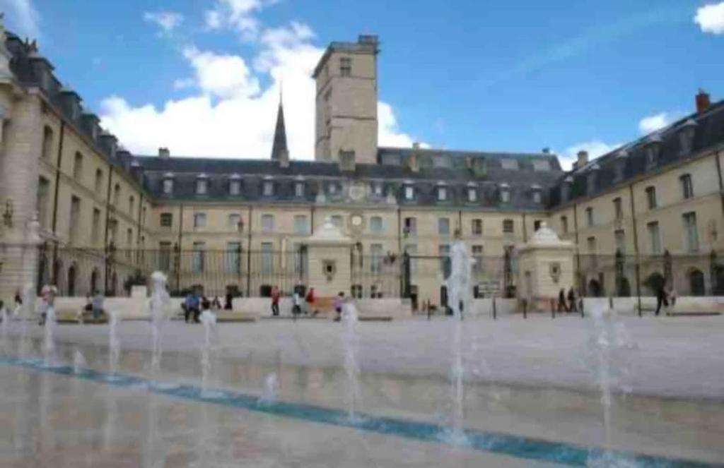 PatioNé dans Centre de Dijon - 4