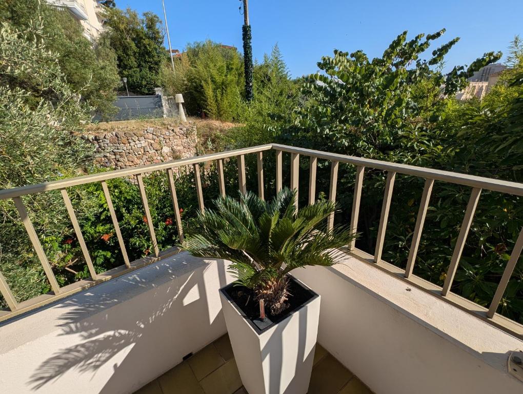 CHESTER Riviera Escape - Appartement calme, terrasse & clim proche Croisette et centre - 5