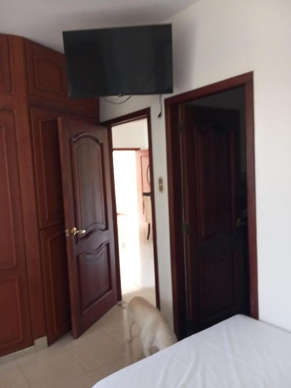 Hostal Oasis - 5