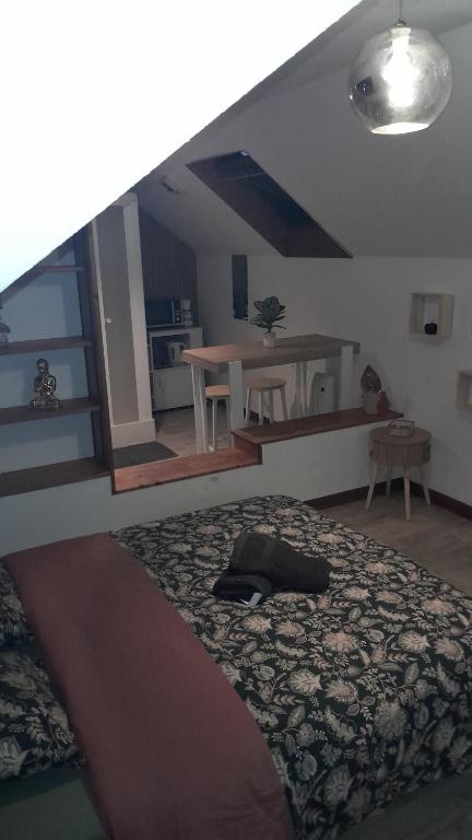 Studio 5 cosy de la demi-lune - 5