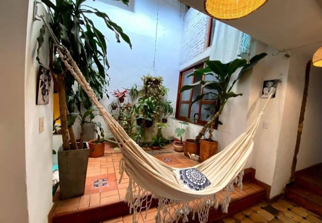 Relaxing Room San Antonio - 4