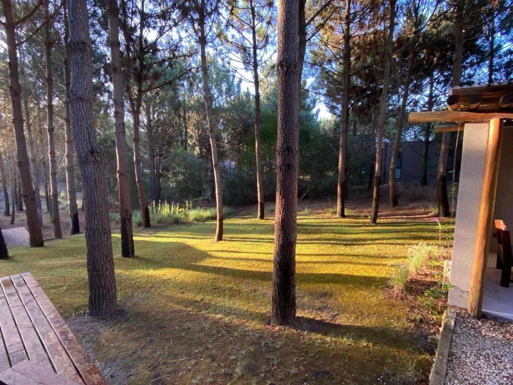 Casa en el bosque y cerca de la playa - 2