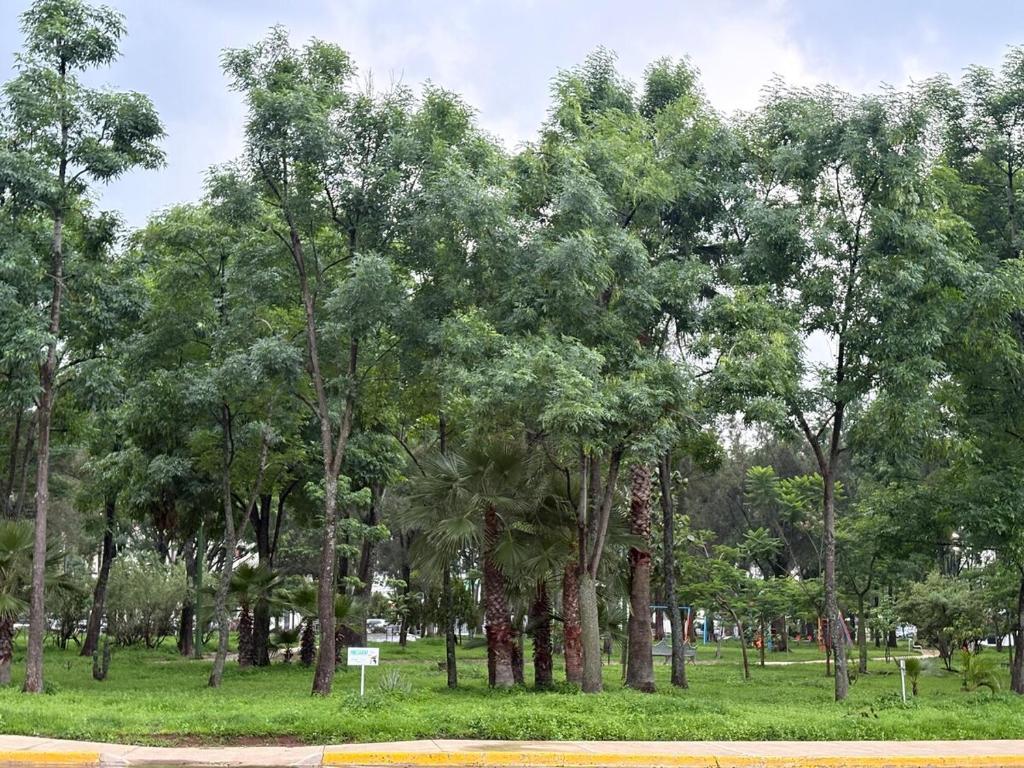Remodeled apartment, park and 2 parking spaces - 5