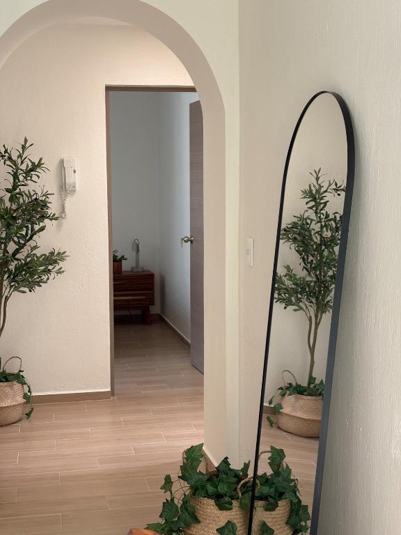 Remodeled apartment, park and 2 parking spaces - 2