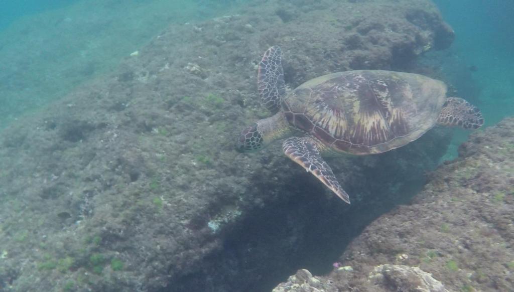 Sports and activities