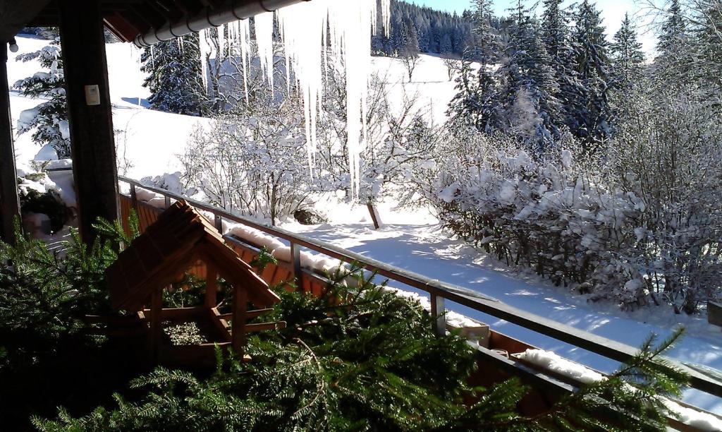Schwarzwaldgasthaus Salenhof photo