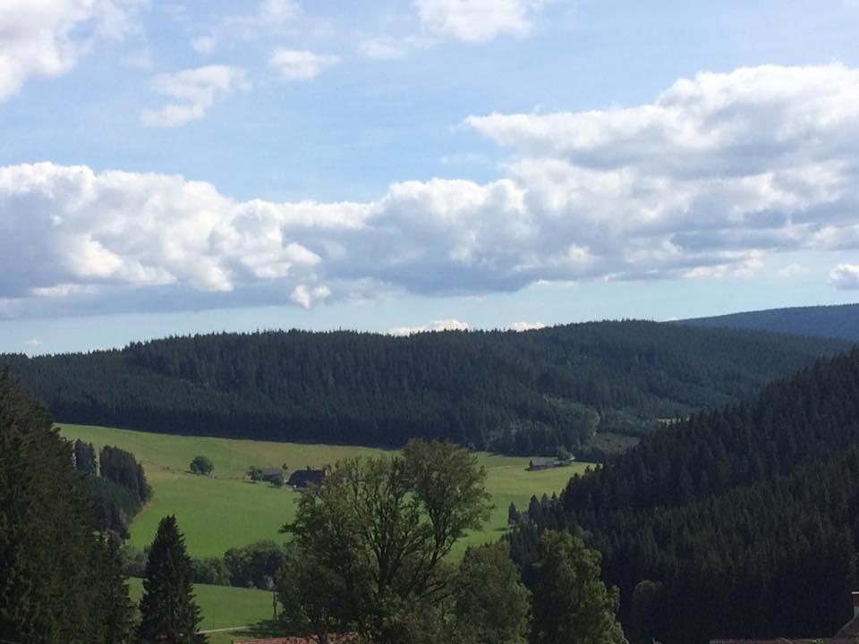 Schwarzwaldgasthaus Salenhof photo