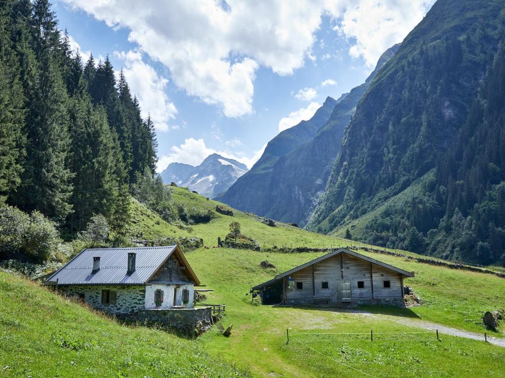 Holiday with Mountain Views in Mittersill - 5