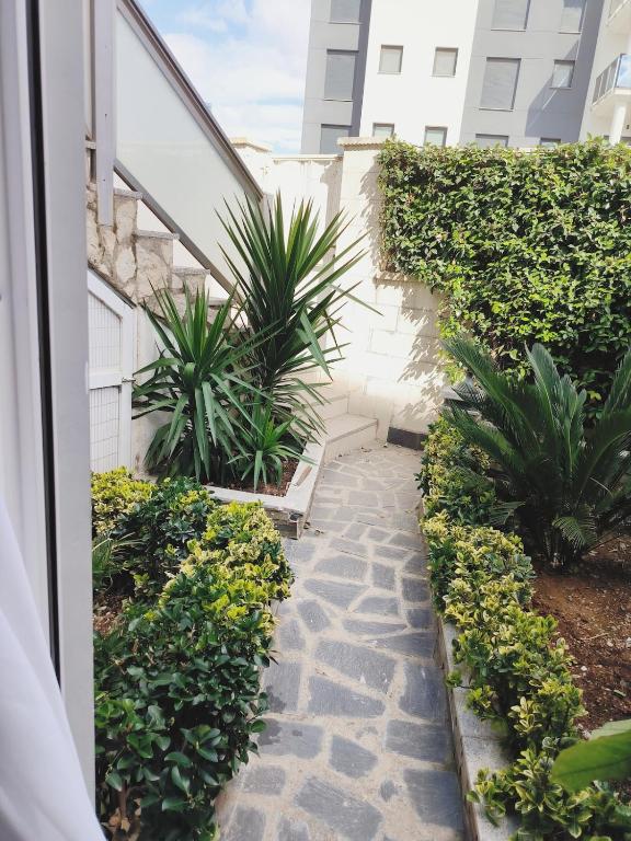 Beautiful Duplex in Oliva Nova - 3