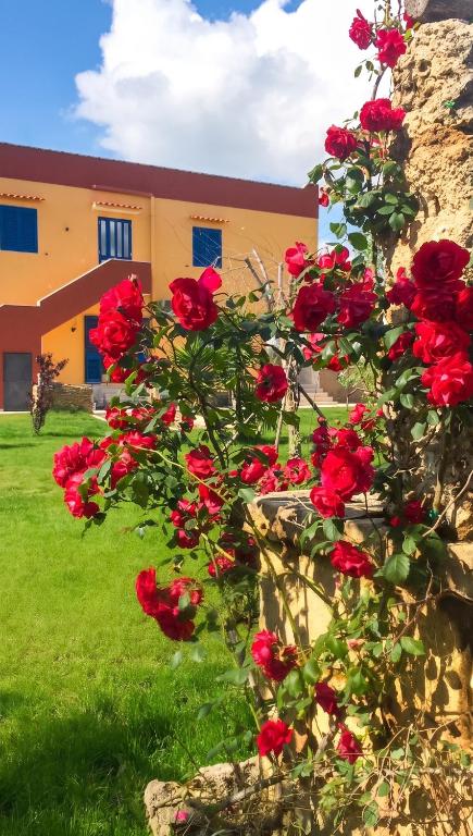Bright Studio in Gallipoli - 30 sqm + Enclosed Garden - 1