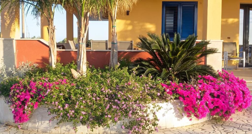 Bright Studio in Gallipoli - 30 sqm + Enclosed Garden - 5