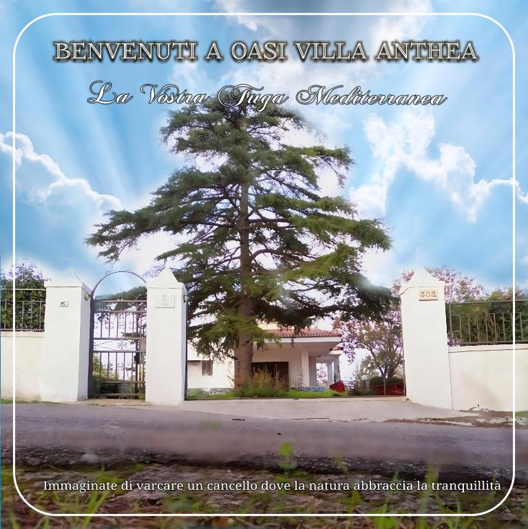 Oasi Villa Anthea - 2